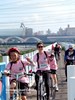 行經麗水漁港跨河新建橋