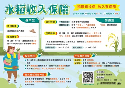 水稻保險0604