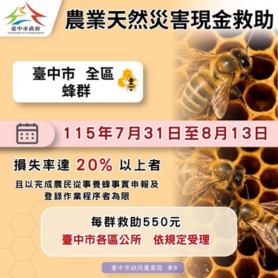 圖卡